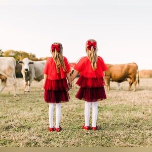 H&M Girls Red Tulle Layered Dress Size 6-7